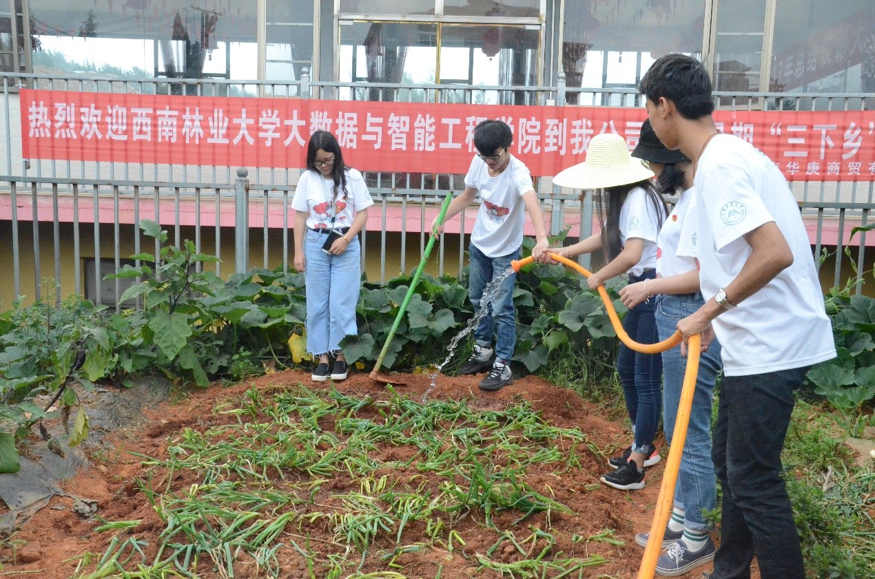 美高梅娱乐城