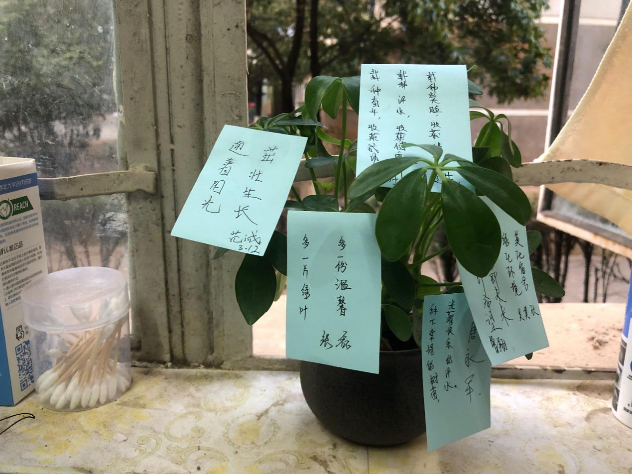 美高梅娱乐城